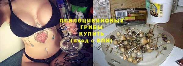 гашик Баксан