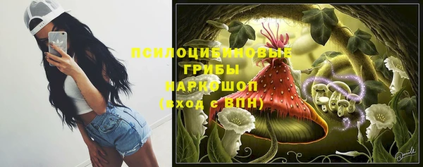гашик Баксан