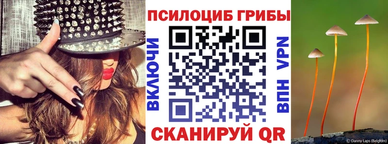 закладки  Ульяновск  Галлюциногенные грибы Magic Shrooms 